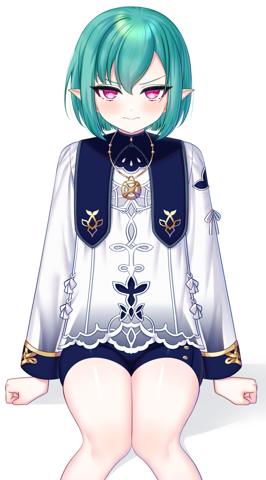 1boy, absurdres, adapted_costume, blush, elf, eochaid_(mabinogi), green_hair, highres, looking_at_viewer, mabinogi, pointy_ears, red_eyes, satang, sitting, trap