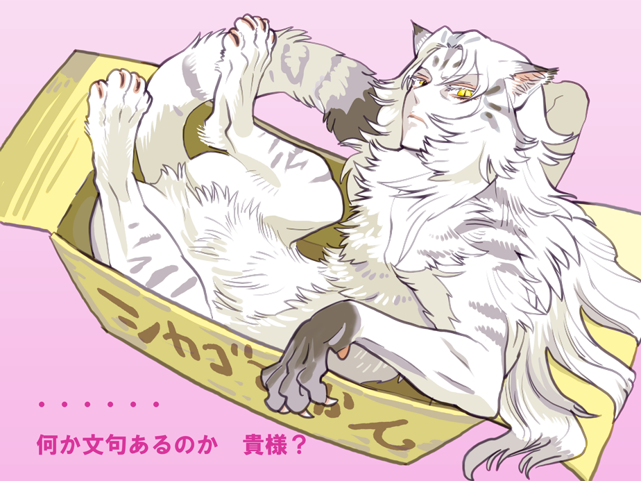1other, ambiguous_gender, body_fur, box, closed_mouth, grey_fur, grey_hair, grey_tail
