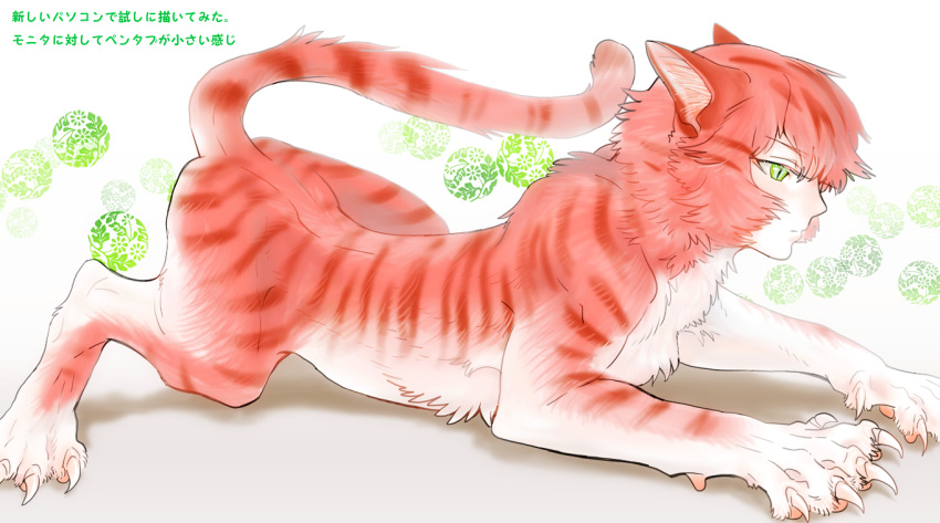 1boy, abstract_background, body_fur, cat_boy, cat_feet, claws, closed_mouth, expressionless