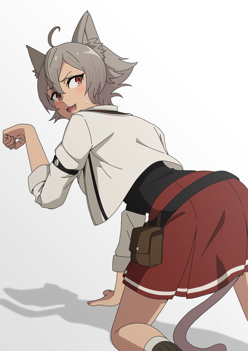1girl, absurdres, ahoge, animal_ears, breasts, cat_ears, cat_girl, grey_hair