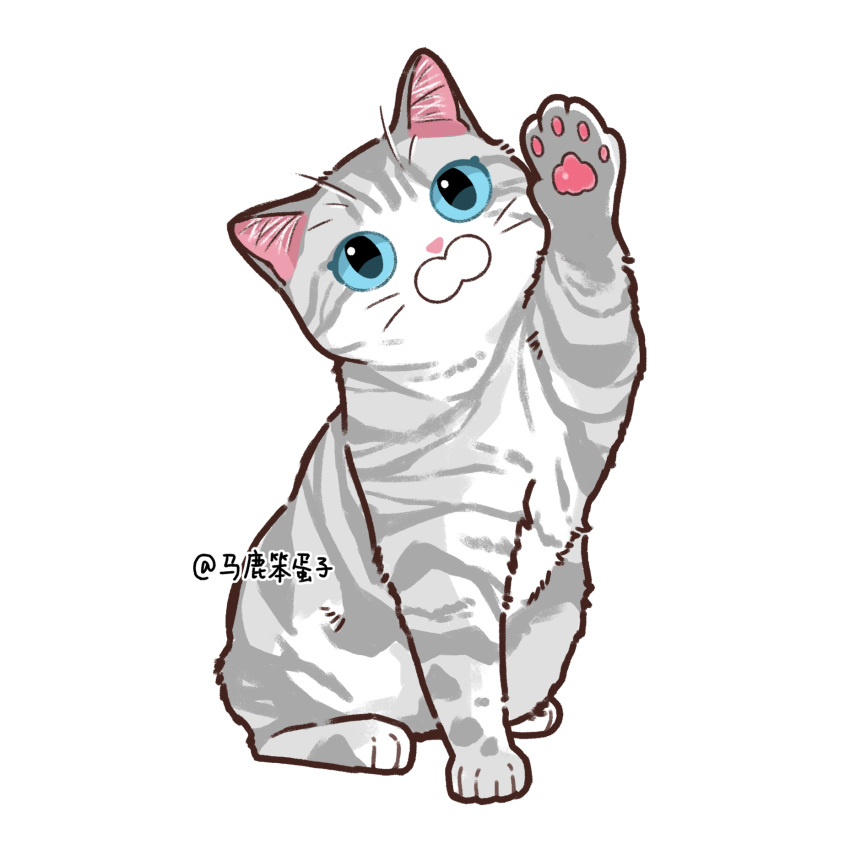 animal, animal_focus, arm_up, baby_animal, blue_eyes, cat, commentary, grey_cat