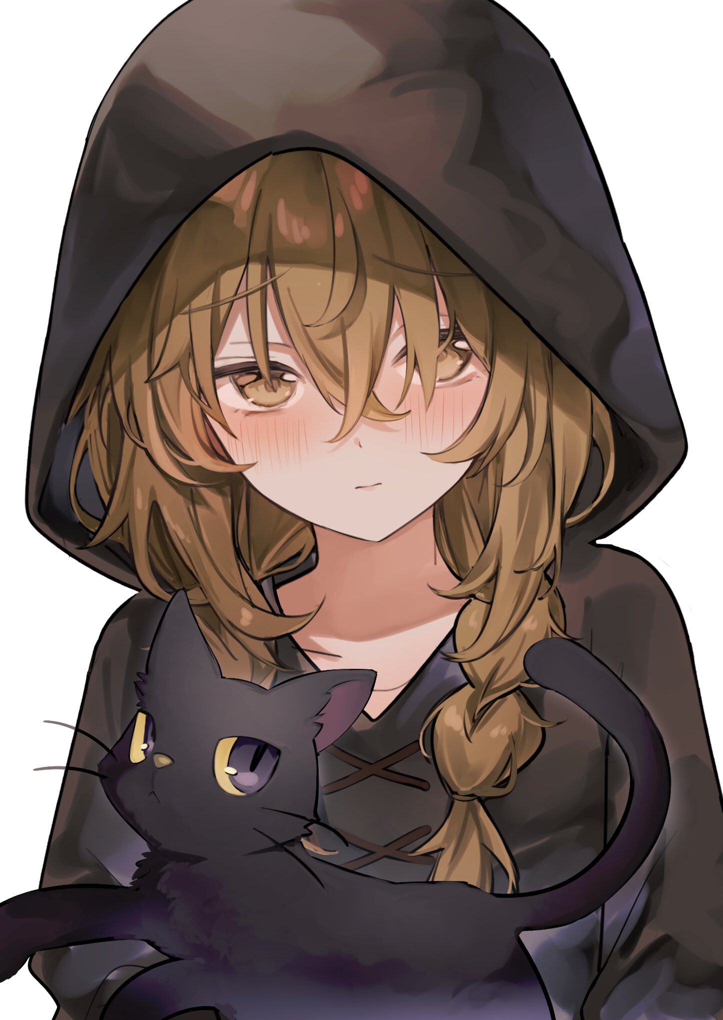 1girl, black_cat, blush, braid, brown_hair, cat, hair_between_eyes, highres