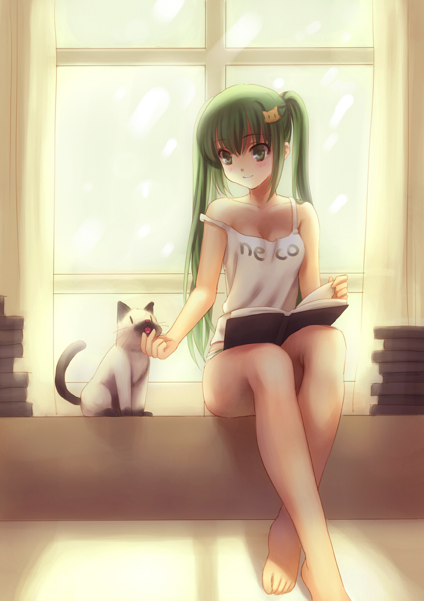bare_legs, barefoot, book, cat, crossed_legs, curtains, feet, green_eyes
