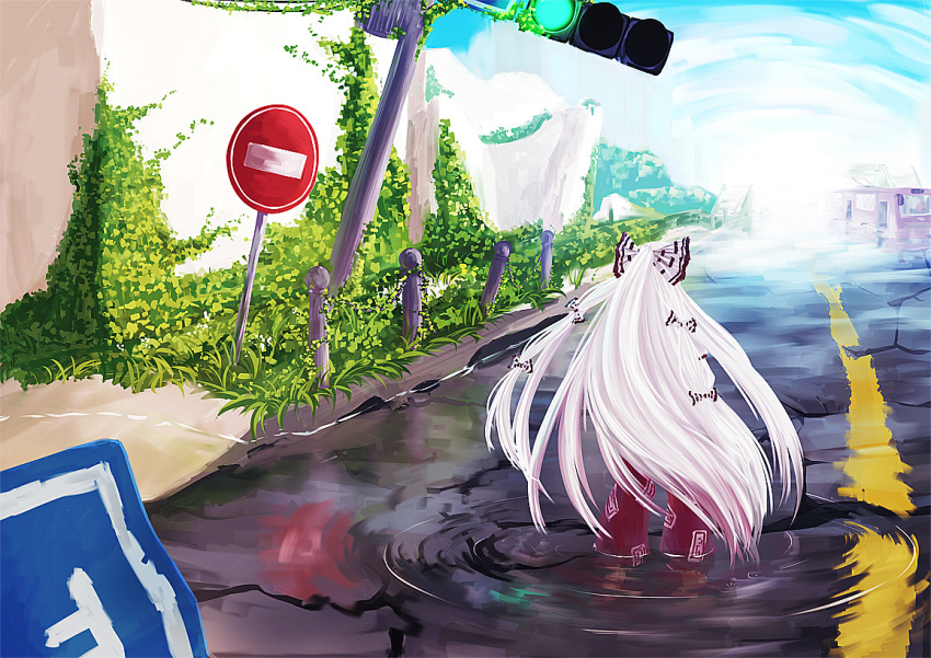 bow, from_behind, fujiwara_no_mokou, hair_bow, long_hair, pants, plant, reflection