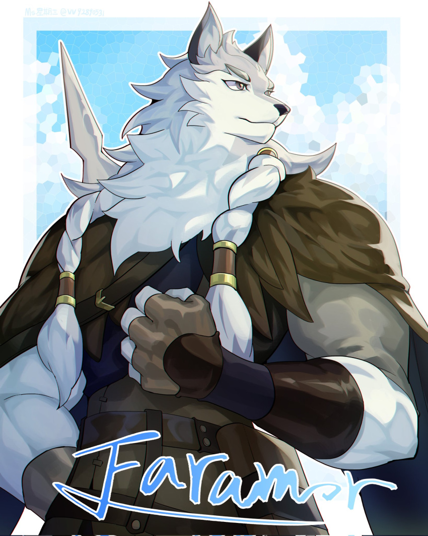 1boy, afk_(series), afk_journey, animal_ears, biceps, blue_sky, braid, brown_cape