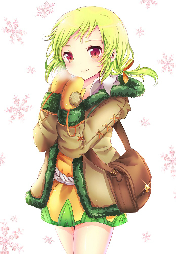 1girl, bag, coat, dress, green_hair, mabinogi, meriel, mittens