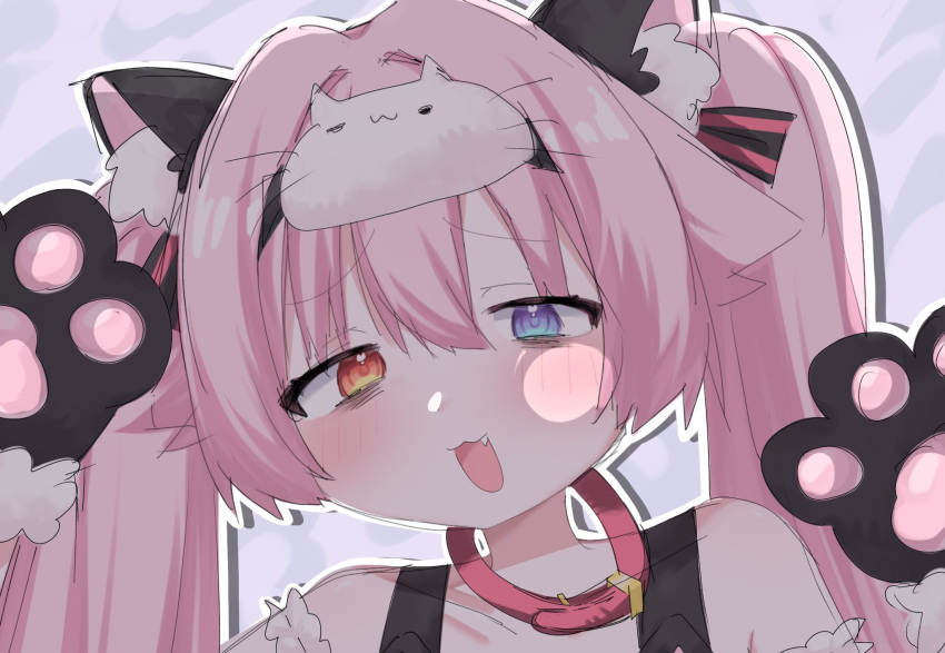 1girl, animal_ear_fluff, animal_ears, animal_hands, bags_under_eyes, bare_shoulders, blue_archive, blue_eyes, blush, cat_ears, cat_paws, collar, fang, gloves, hair_between_eyes, hair_flaps, heterochromia, highres, hoshino_(blue_archive), kirine_shiro, long_hair, looking_at_viewer, open_mouth, paw_pose, pink_hair, portrait, simple_background, solo, twintails, yellow_eyes