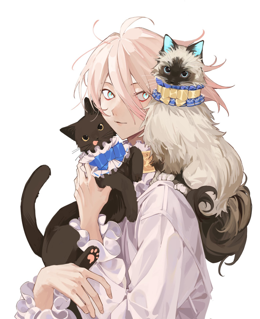1boy, animal, animal_on_shoulder, animalization, arjuna_(fate), arjuna_alter_(fate), blue_eyes, cat
