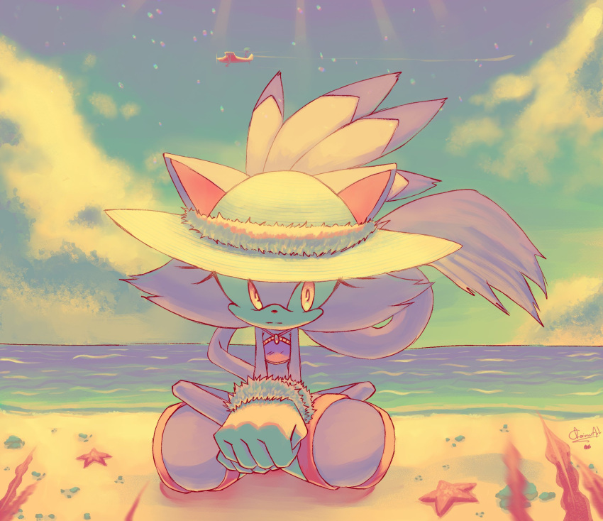 1boy, 1girl, :<, aircraft, airplane, animal_ears, beach, blaze_the_cat