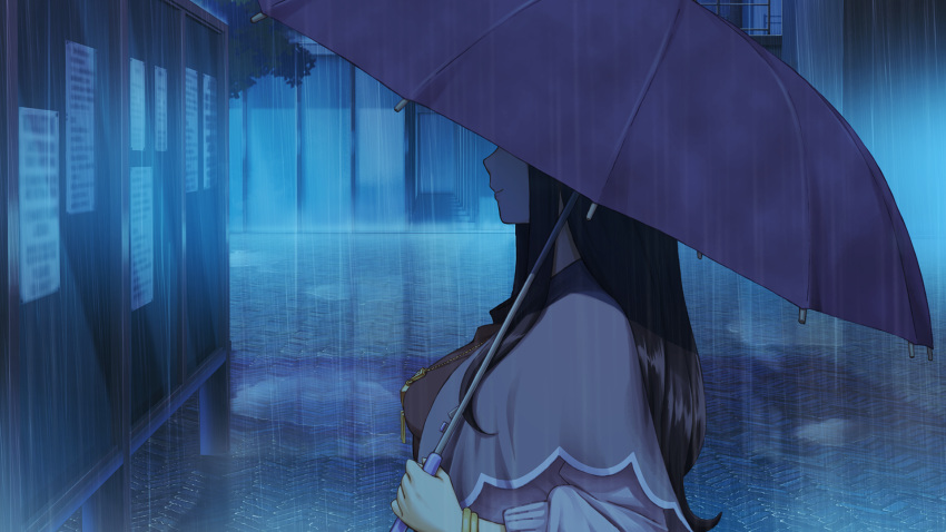 1girl, black_hair, bracelet, breasts, capelet, eye_of_providence, from_side, game_cg