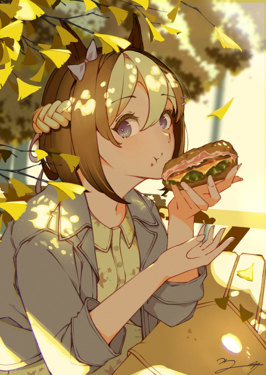 1girl, :t, animal_ears, blue_bow, blue_eyes, blue_jacket, bow, braid
