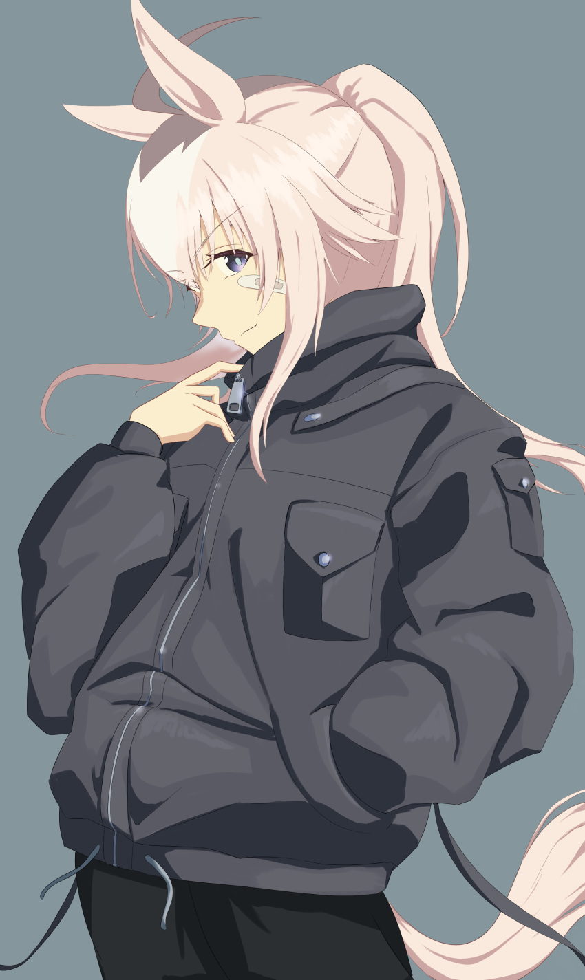 1girl, absurdres, ahoge, animal_ears, bandaid, bandaid_on_face, black_jacket, black_shorts, blue_eyes, closed_mouth, commentary, cowboy_shot, grey_background, grey_hair, hand_in_pocket, highres, horse_ears, horse_girl, horse_tail, jacket, long_hair, long_sleeves, looking_at_viewer, mog_(user_mtvk5888), official_alternate_costume, oguri_cap_(umamusume), ponytail, shorts, smile, solo, standing, tail, umamusume, umamusume:_cinderella_gray, zipper