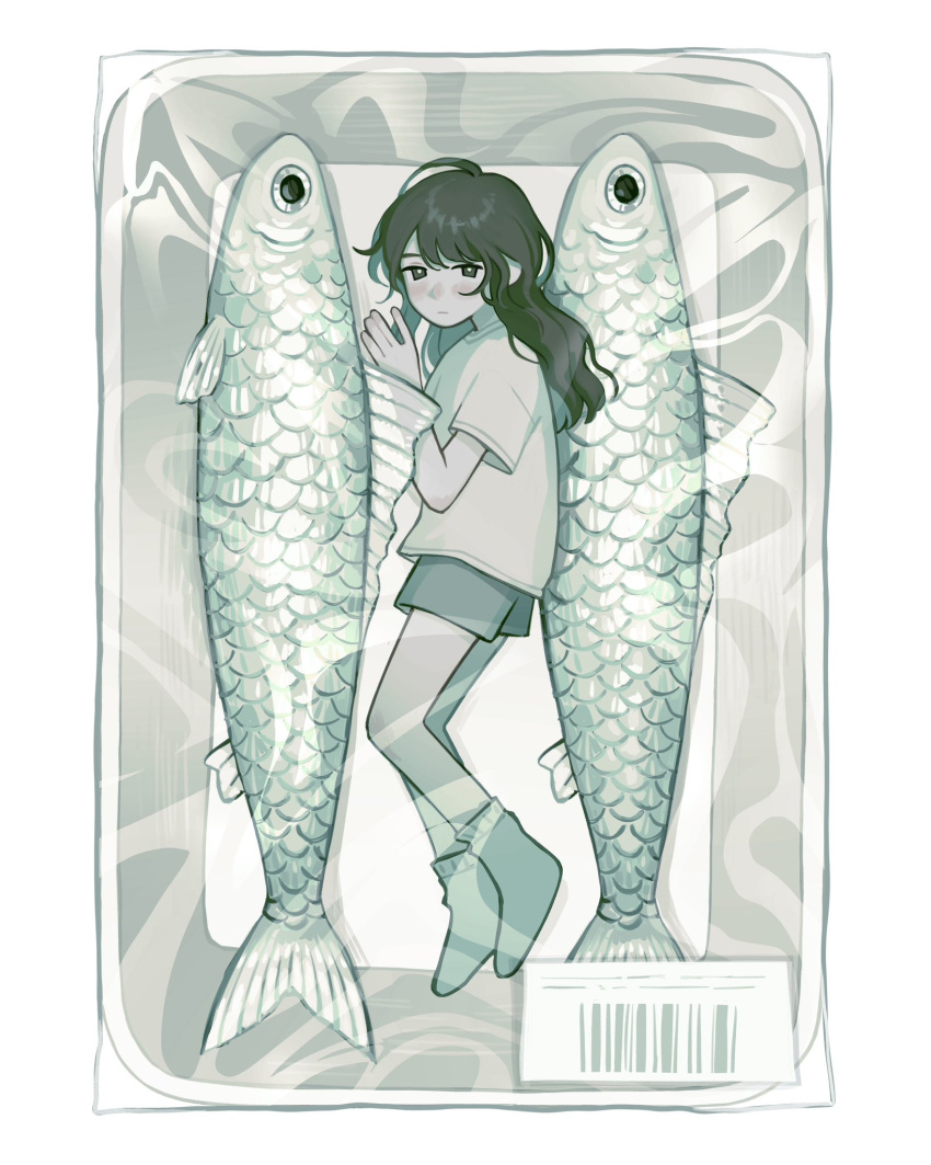 1girl, barcode, brown_eyes, brown_hair, commentary, english_commentary, fish, full_body, highres, in_container, kiwibnui, long_hair, lying, mini_person, minigirl, no_shoes, on_side, original, plastic_wrap, shirt, short_sleeves, shorts, socks, solo, t-shirt