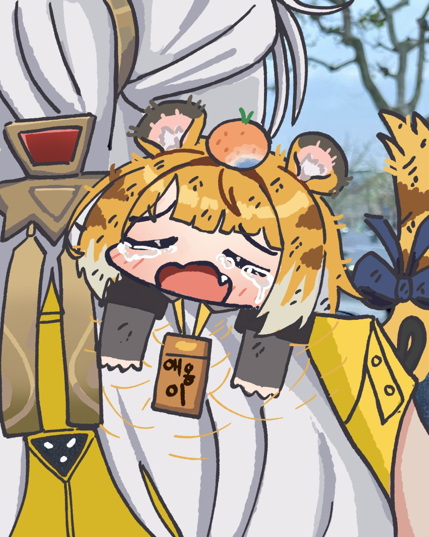 1girl, animal_ear_fluff, animal_ears, blue_bow, bluebird_(leh951025), bow, character_request, closed_eyes, fang, food, fruit, highres, ju_fufu, open_mouth, orange_hair, photo-referenced, tail, tail_bow, tail_ornament, tiger_ears, tiger_girl, tiger_tail, white_hair, zenless_zone_zero