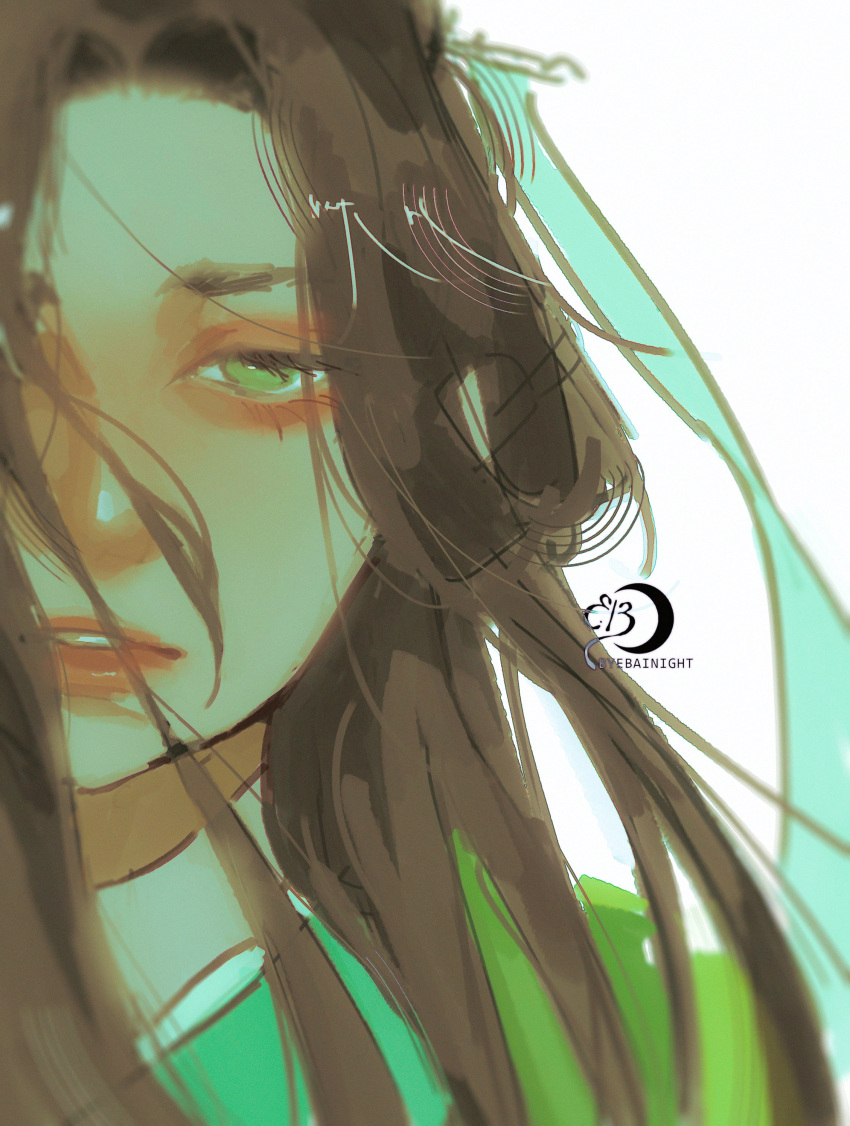 1boy, absurdres, androgynous, artist_name, black_hair, byebainight, chinese_clothes, crescent, curtained_hair, floating_hair, green_eyes, green_hanfu, hair_between_eyes, half-closed_eyes, half_updo, hanfu, highres, huadian, long_hair_between_eyes, male_focus, parted_bangs, parted_lips, pink_lips, portrait, renzha_fanpai_zijiu_xitong, ribboned_xiao_guan, shen_qingqiu, simple_background, solo, split_crop, white_background
