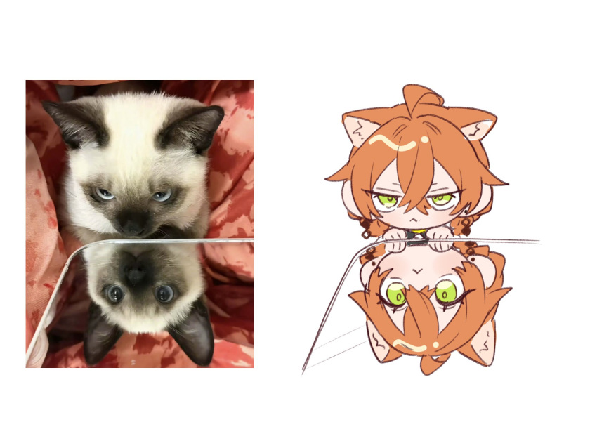 1girl, :<, ahoge, animal_ears, braid, cat, cat_ears, cat_girl