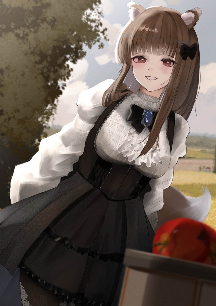1girl, absurdres, animal_ear_fluff, animal_ears, apple, araca_ra, ascot, black_bow