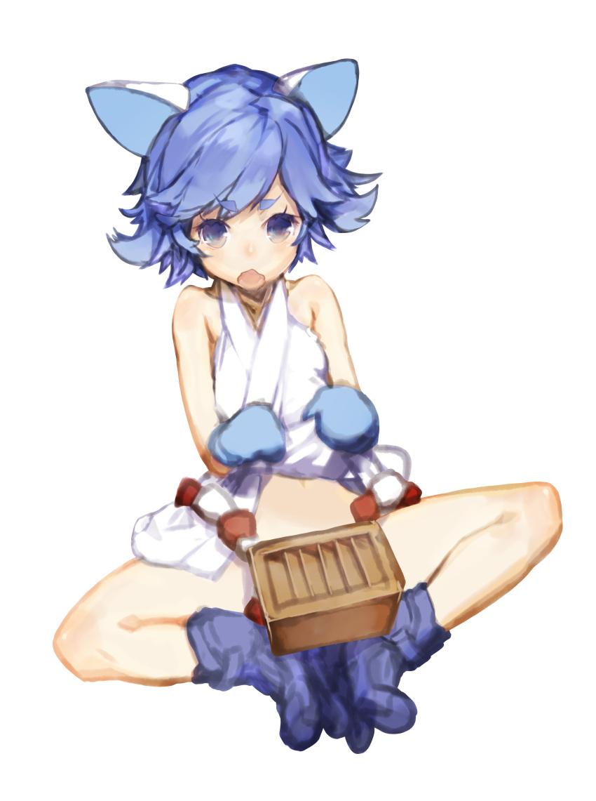 animal_ears, blue_eyes, blue_hair, boots, box, donation_box, dress, dress_lift
