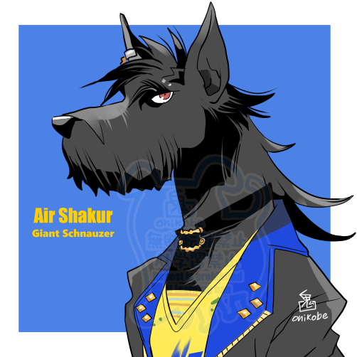 1girl, air_shakur_(umamusume), animal_ears, black_coat, blue_background, coat, commentary_request, dog_ears