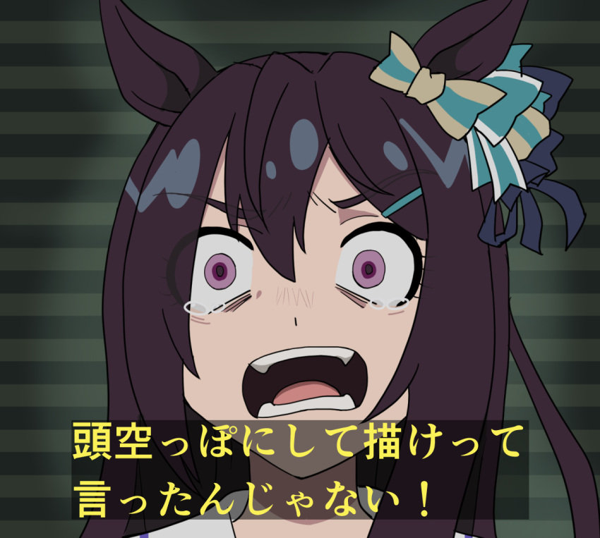 1girl, amate_yuzuriha, animal_ears, bow, brown_hair, check_translation, commentary, commentary_request
