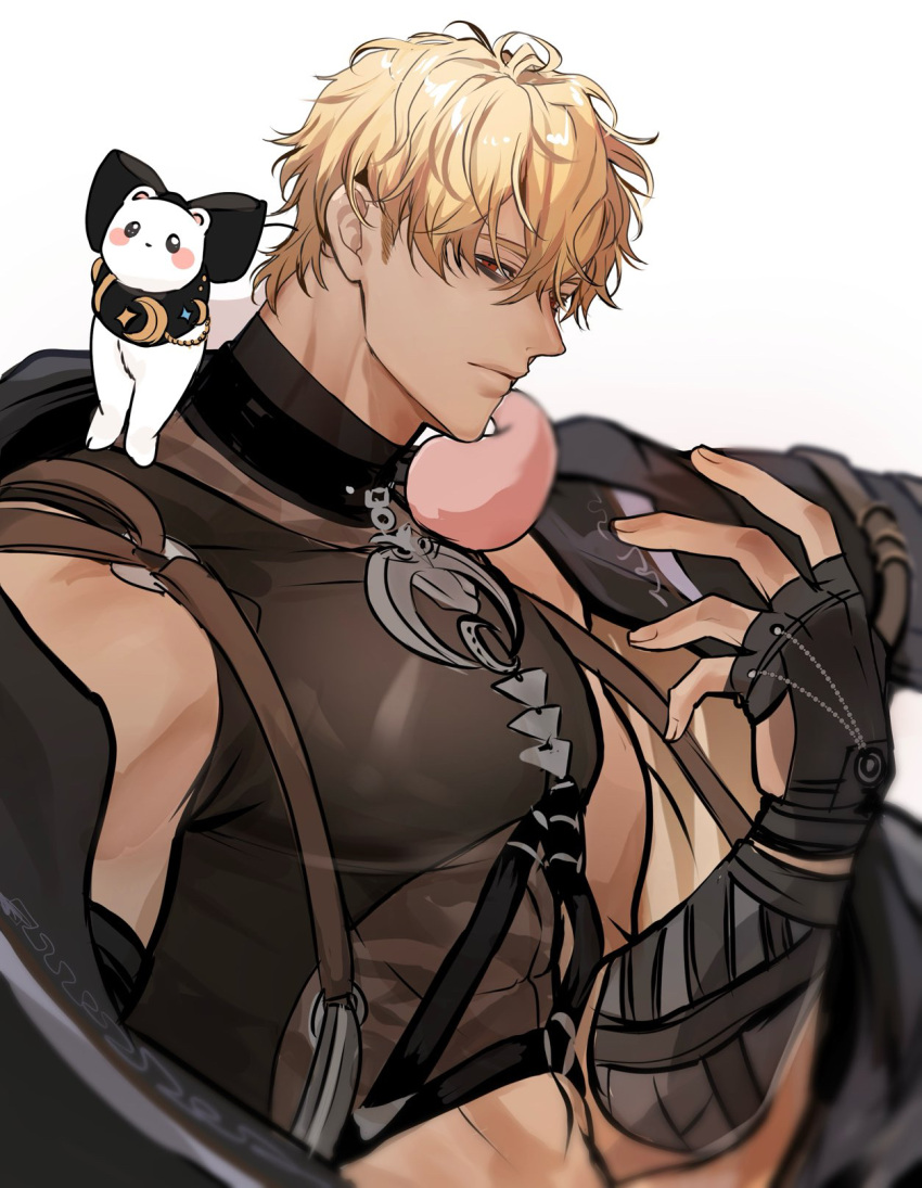 1boy, abs, animal, animal_on_shoulder, bare_shoulders, belt, black_belt, black_collar