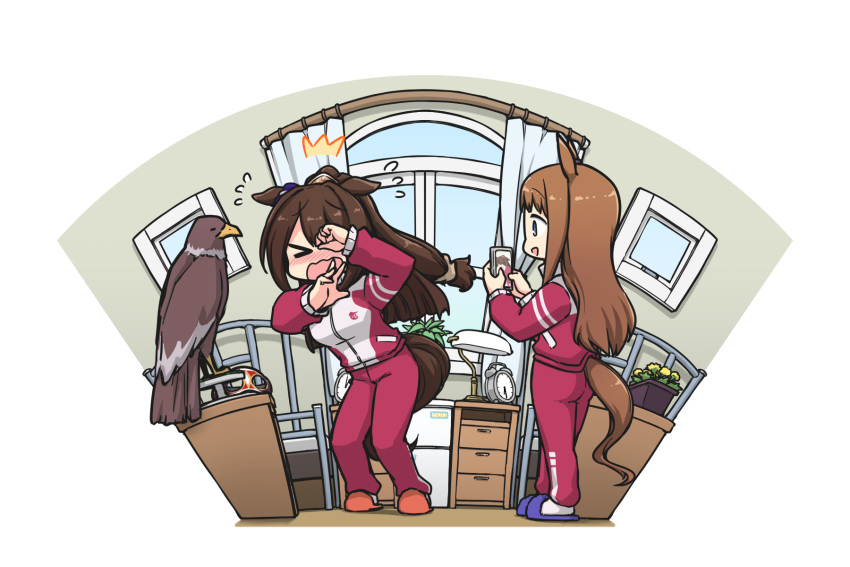 >_<, 2girls, animal_ears, bird, blush, brown_hair, day, eagle