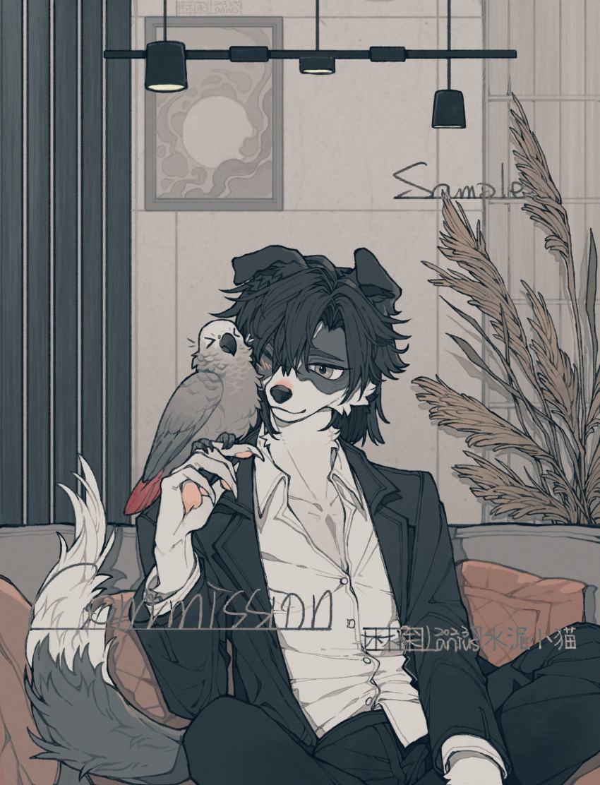 1boy, african_grey_parrot, animal_hands, bird, bird_on_hand, black_hair, black_jacket, body_fur, claws, commentary, commission, couch, dog_boy, furry, furry_male, grey_eyes, grey_fur, highres, indoors, jacket, looking_at_animal, male_focus, one_eye_closed, original, parrot, shirt, short_hair, shuini_xiaomao, sitting, solo, tail