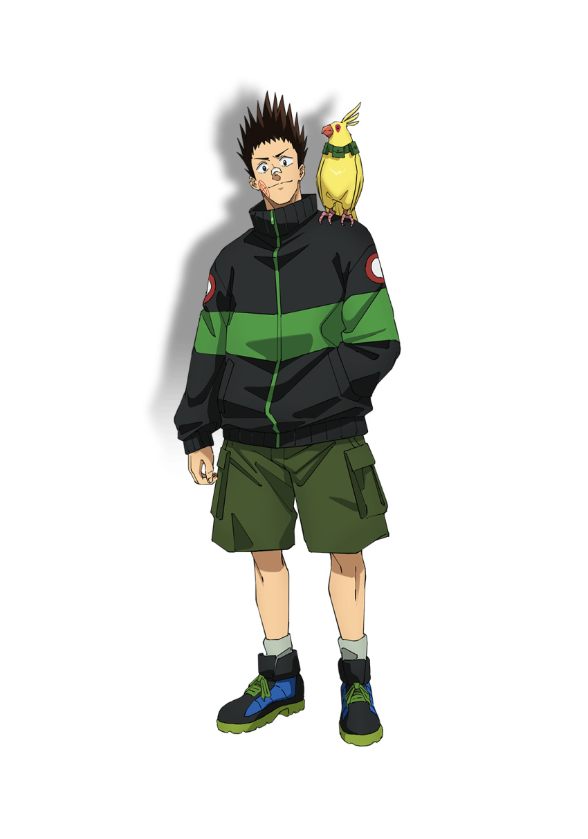 1boy, anime_coloring, bandaid, bandaid_on_face, bandaid_on_nose, bird, black_hair, black_jacket