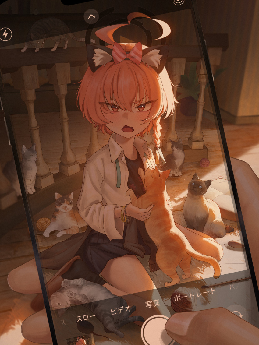 1girl, absurdres, ahoge, animal, black_halo, blue_archive, braid, cat