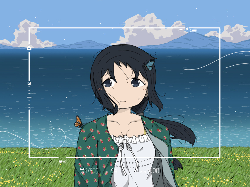 1girl, black_eyes, black_hair, blue_sky, bug, butterfly, butterfly_on_head, butterfly_on_shoulder