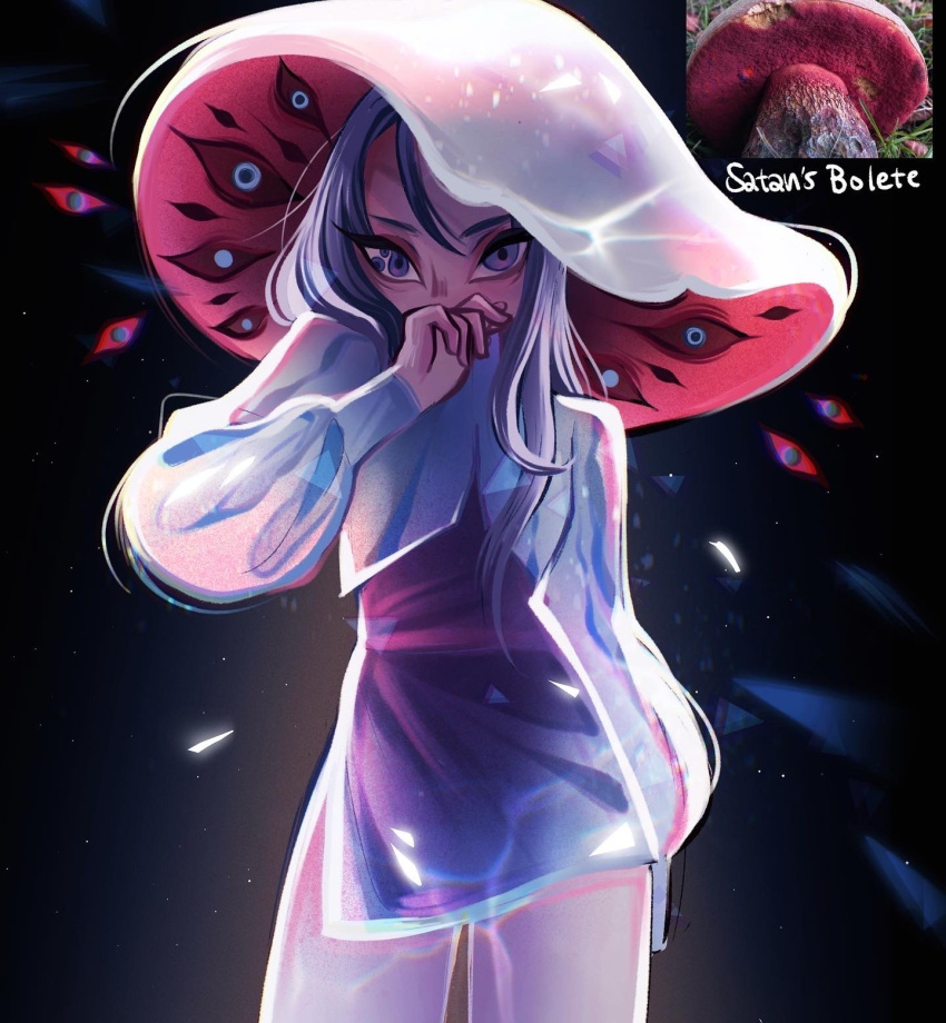 1girl, dress, english_text, feefal, funguary, highres, long_hair, monster_girl, mushroom, mushroom_girl, mushroom_hat, object_and_personification, original, personification, photo_inset, procreate_(medium), reference_inset, simple_background, solo