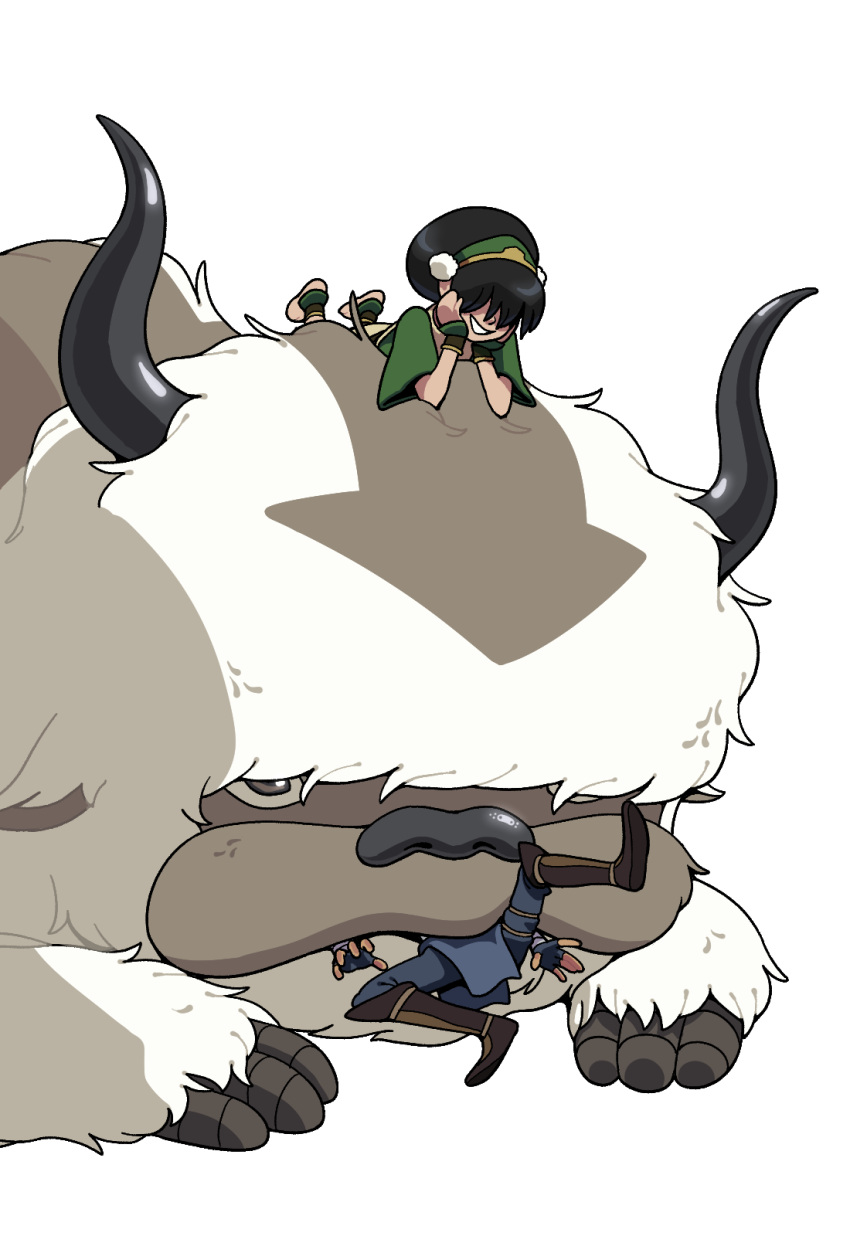 1girl, appa, avatar:_the_last_airbender, avatar_legends, barefoot, bison, black_hair, boots
