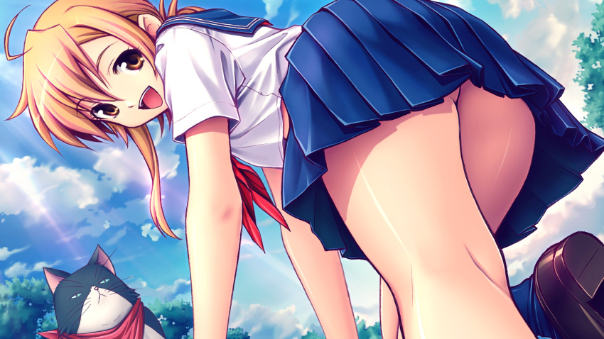 bent_over, blonde_hair, brown_hair, cat, highres, kneepits, looking_back, michi