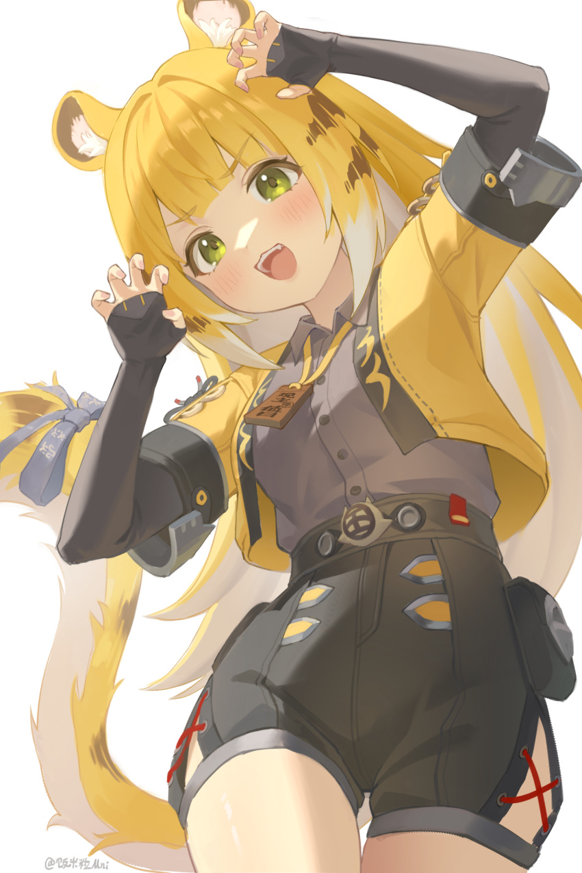1girl, absurdres, animal_ear_fluff, animal_ears, blonde_hair, blush, breasts, claw_pose, colored_inner_hair, cowboy_shot, cropped_jacket, fang, fingerless_gloves, gloves, green_eyes, highres, jacket, ju_fufu, long_hair, looking_at_viewer, multicolored_hair, open_mouth, shorts, signature, simple_background, small_breasts, solo, tail, tiger_ears, tiger_girl, tiger_tail, white_background, xiaofan2005, yellow_jacket, zenless_zone_zero