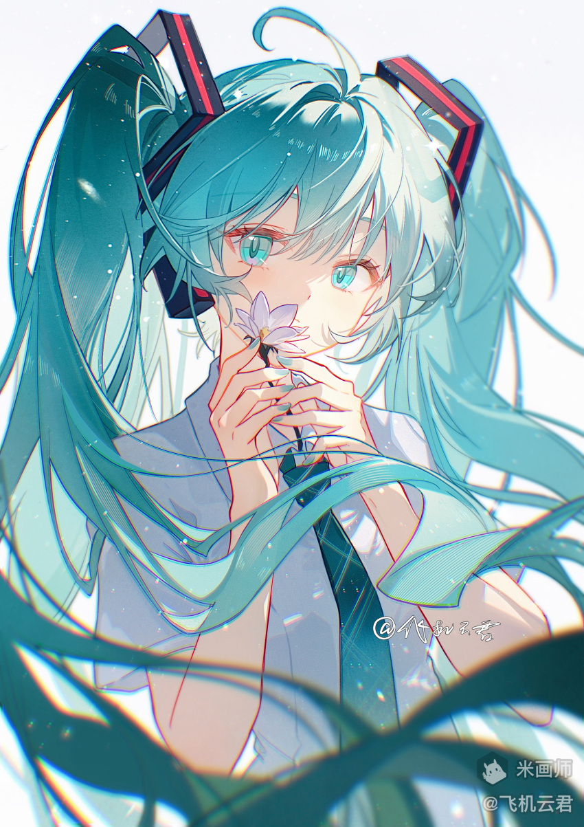 1girl, absurdres, ahoge, blue_eyes, blue_hair, blue_necktie, closed_mouth, cloudyman, collared_shirt, flower, hatsune_miku, highres, holding, holding_flower, long_hair, looking_at_viewer, mihuashi_username, necktie, shirt, short_sleeves, simple_background, solo, twintails, upper_body, vocaloid, white_background, white_flower, white_shirt