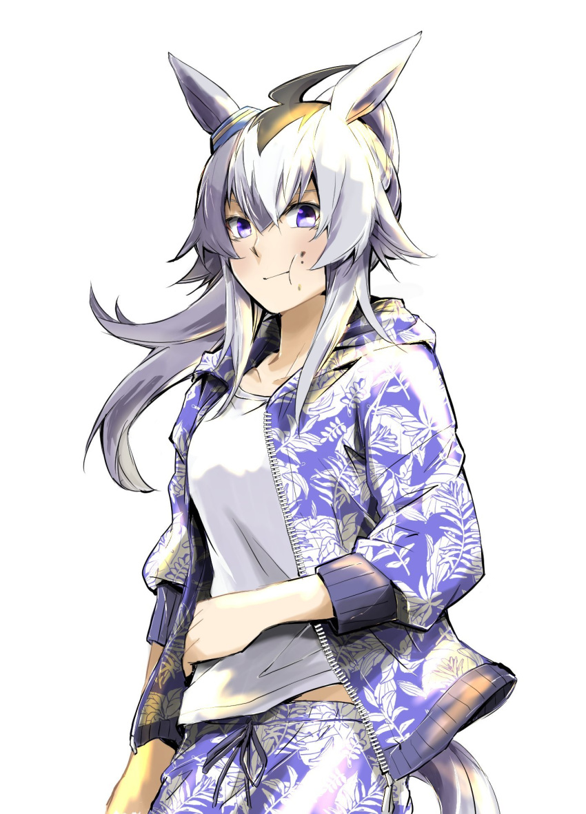 1girl, ahoge, akiduki_(gundogs), animal_ears, blue_eyes, blush, chewing, closed_mouth