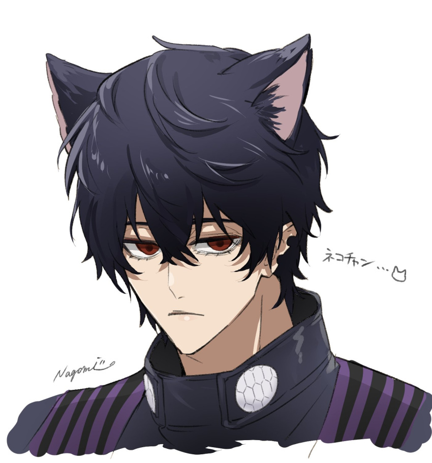 1boy, animal_ears, beelzebub_(shuumatsu_no_valkyrie), black_eyes, black_hair, cat_boy, cat_ears, extra_ears