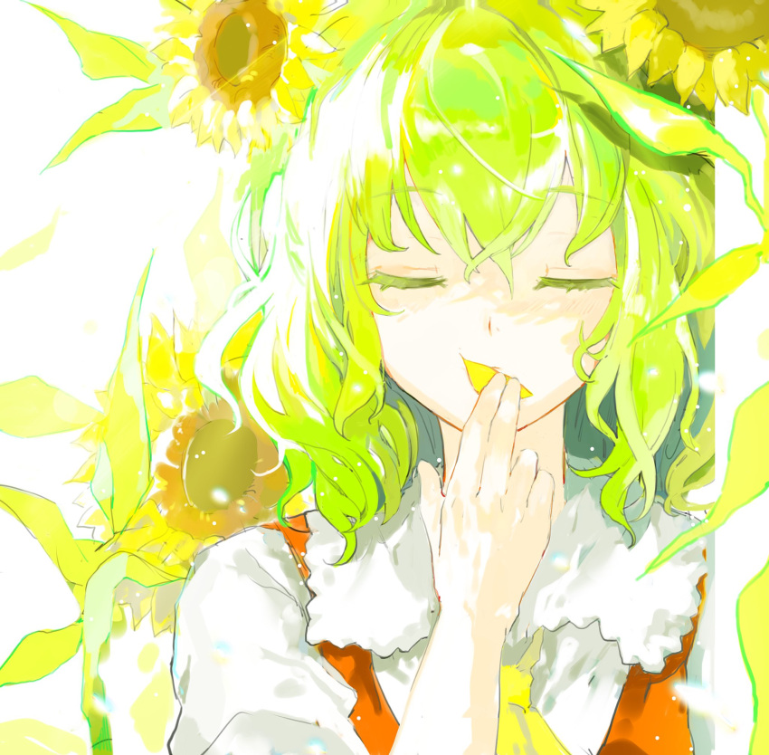 1girl, ascot, closed_eyes, collared_shirt, flower, green_hair, hair_between_eyes, highres
