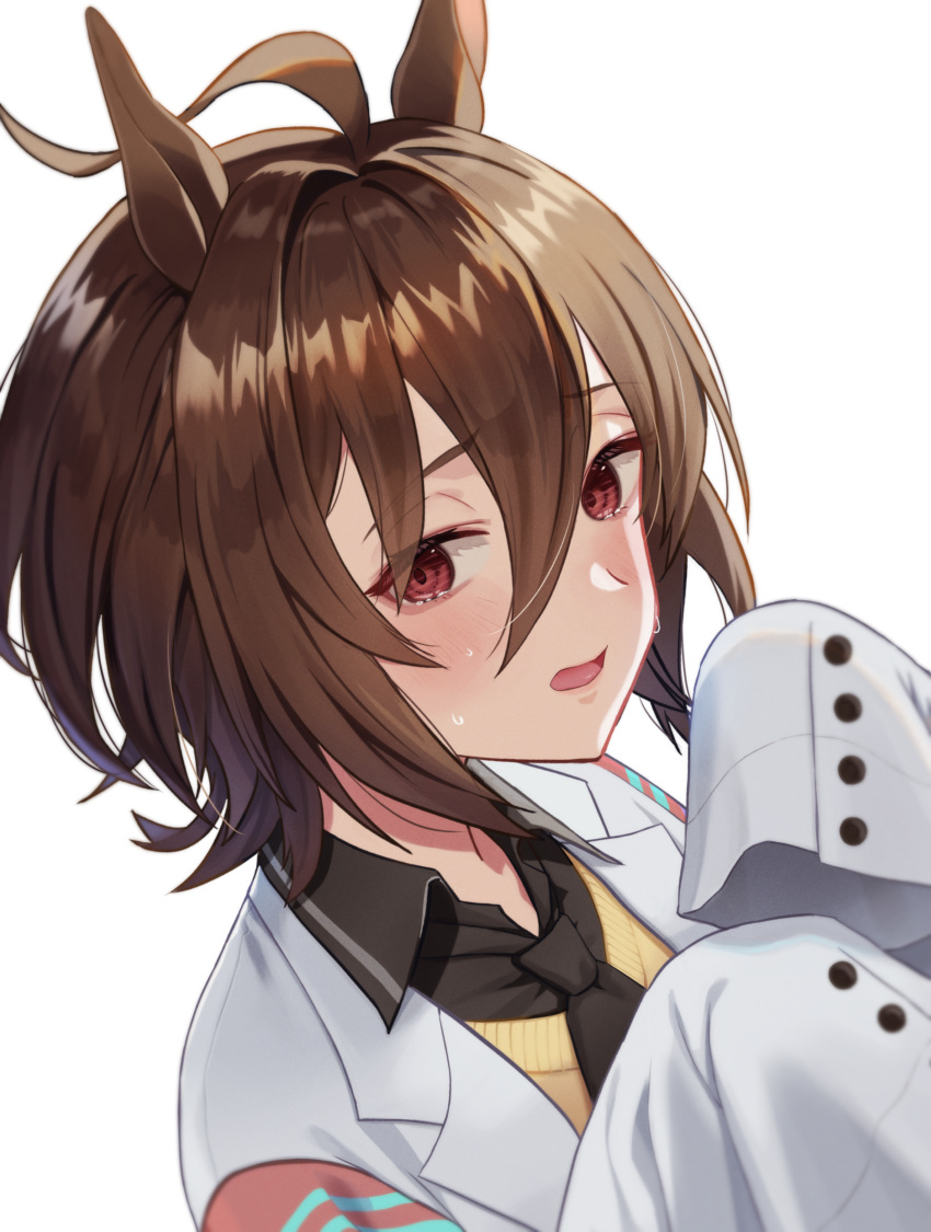1girl, absurdres, achiko_(tamara), agnes_tachyon_(umamusume), ahoge, animal_ears, black_shirt, brown_hair