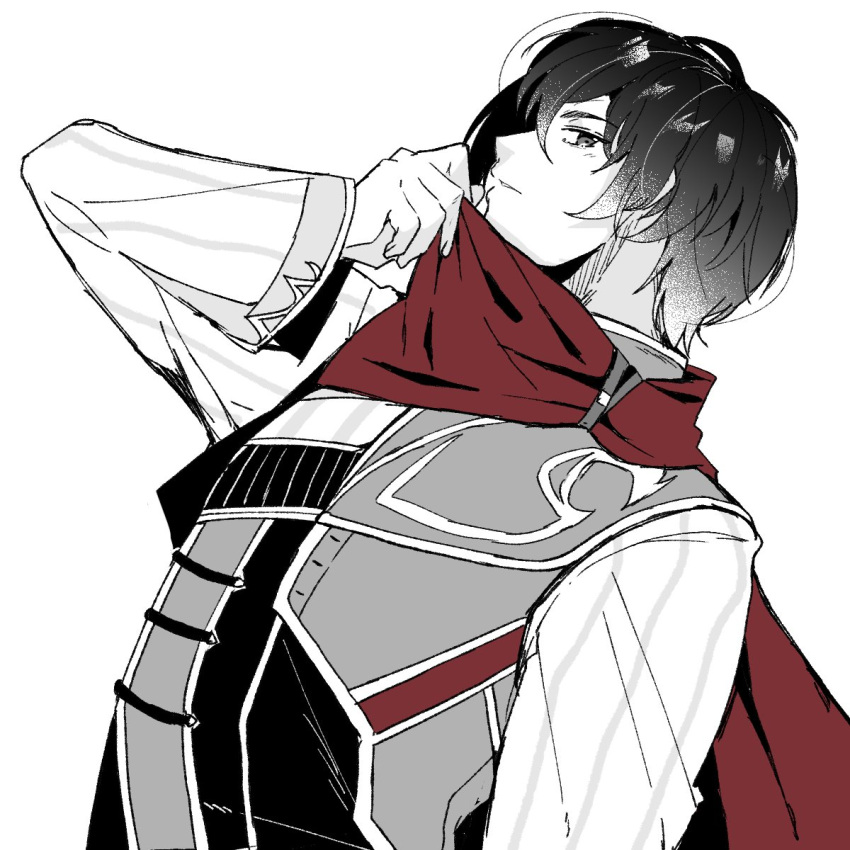 1boy, adol_christin, black_hair, commentary_request, greyscale, highres, looking_at_viewer, loose_hair_strand