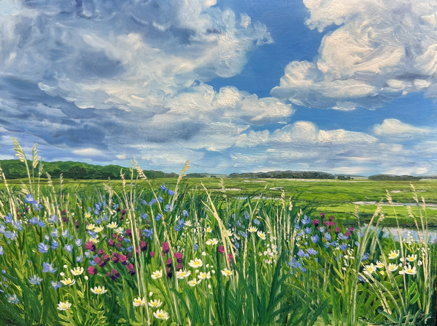 blue_flower, blue_sky, clouds, cloudy_sky, commentary, day, english_commentary, field