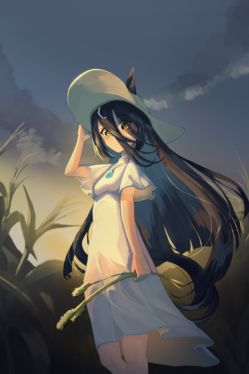 1girl, ahoge, animal_ears, black_hair, blush, clouds, dev_grater, dress