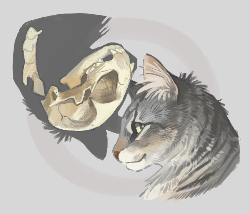 animal, animal_focus, animal_skull, cat, commentary, cropped_head, english_commentary, finchwing