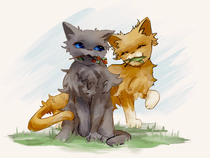 animal, animal_focus, berry, blue_eyes, brown_cat, cat, cinderpelt, closed_eyes