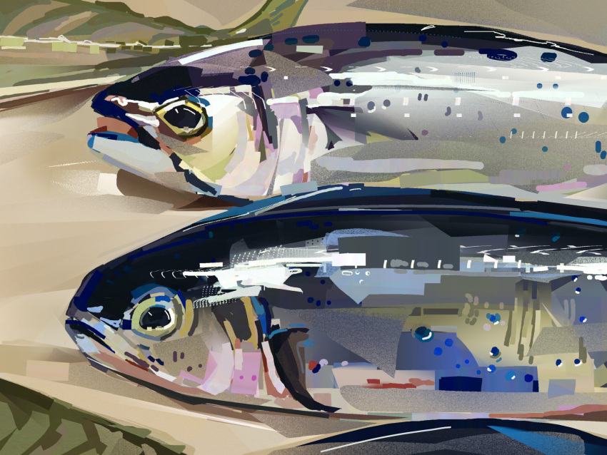 animal_focus, bass_(fish), close-up, commentary, english_commentary, fish, highres, junbuug