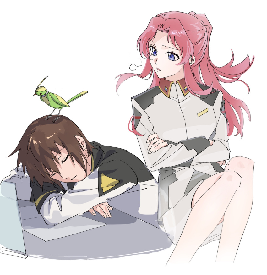 1boy, 1girl, breasts, brown_hair, crossed_arms, flay_allster, gundam, gundam_seed