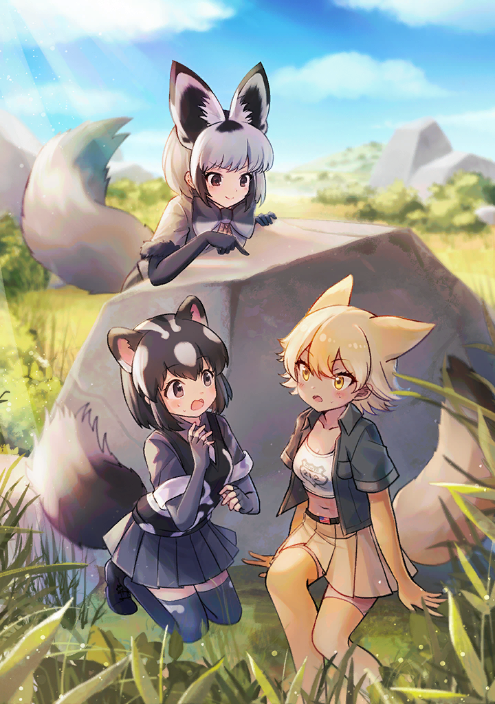 3girls, american_flag, animal_ears, artist_request, bat-eared_fox_(kemono_friends), black_eyes, black_hair, black_jacket