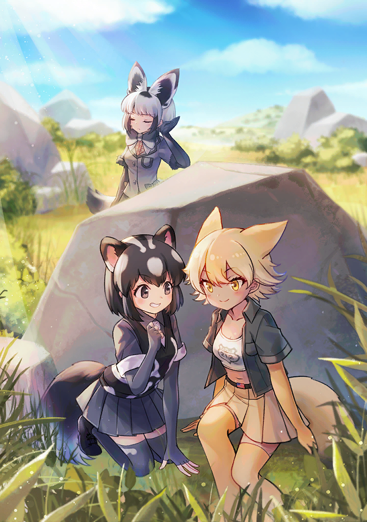 3girls, american_flag, animal_ears, artist_request, bat-eared_fox_(kemono_friends), black_eyes, black_hair, black_jacket