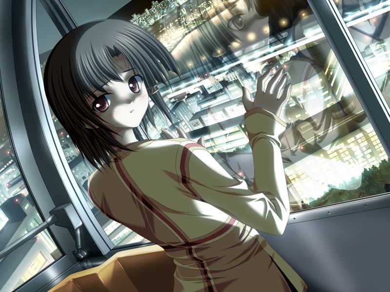 1girl, akiiro_renka, brown_eyes, brown_hair, cityscape, ferris, ferris_wheel, from_behind