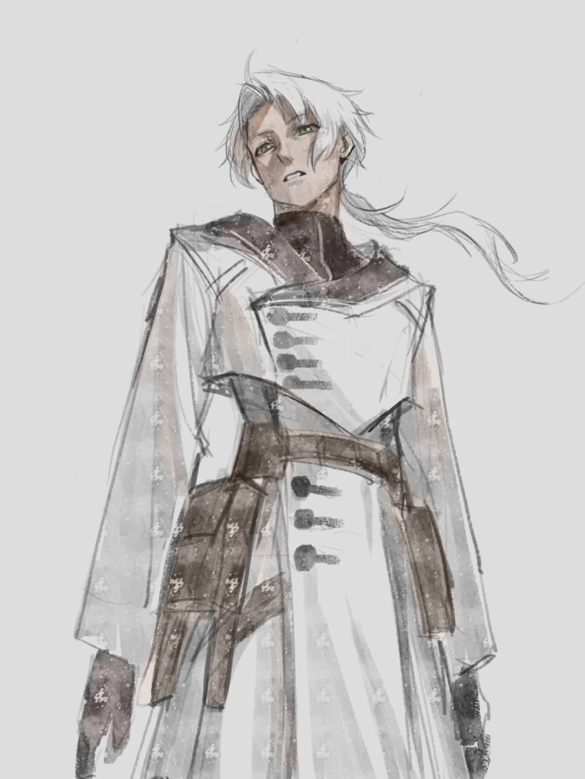 brown_gloves, gloves, green_eyes, highres, imamfhrzl14, long_coat, mushoku_tensei, ponytail